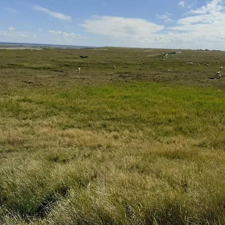 4 Person In Romo-by Traum Sonderby (Romo)