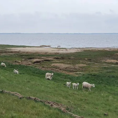 Apartment 4 Person In Romo-by Traum *